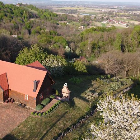 Kuca Za Odmor Stara Hiza Villa Selnica Eksteriør billede