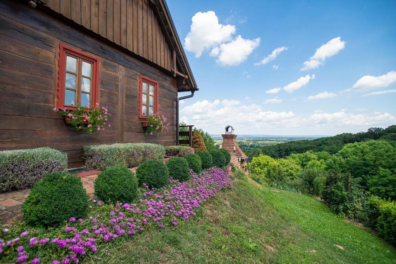 Kuca Za Odmor Stara Hiza Villa Selnica Eksteriør billede